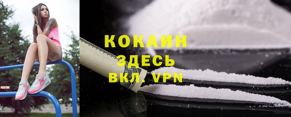 ECSTASY Алзамай