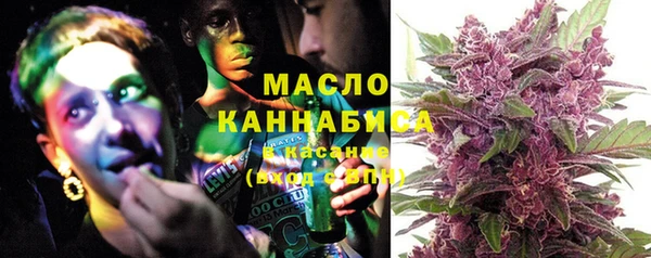ECSTASY Алзамай