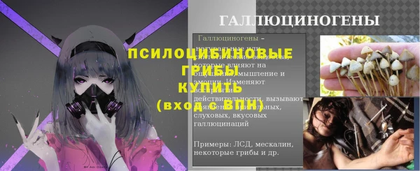 spice Абинск