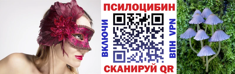 Псилоцибиновые грибы прущие грибы  Николаевск-на-Амуре 